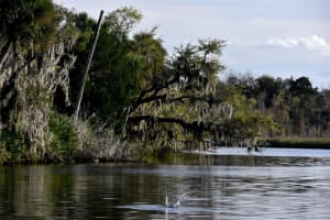 1783 TAYLOR ROAD, PORT ORANGE, FL 32128 - MLS#MFRNS1086381