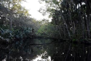 1783 TAYLOR ROAD, PORT ORANGE, FL 32128 - MLS#MFRNS1086381