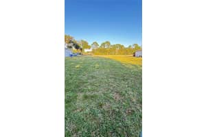 2224 HIBISCUS DRIVE, EDGEWATER, FL 32141 - MLS#MFRNS1086471