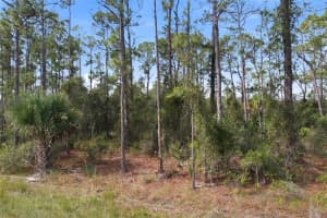 EINSTEIN ST, NORTH PORT, FL 34291 - MLS#MFRNS1086510