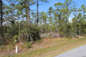 EINSTEIN ST, NORTH PORT, FL 34291 - MLS#MFRNS1086510