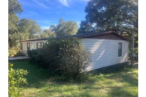 17400 35TH LANE, OCKLAWAHA, FL 32179 - MLS#MFRNS1086569