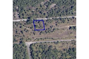 1032 ECHINATA STREET, PALM BAY, FL 32908 - MLS#MFRNS1086645