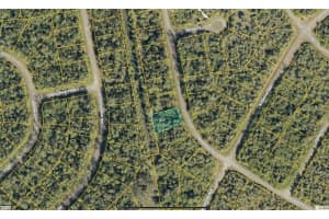 HAVEMEYER ST, NORTH PORT, FL 34288 - MLS#MFRNS1086650