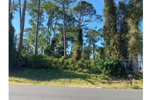 2512 FERN PALM DRIVE, EDGEWATER, FL 32141 - MLS#MFRNS1086655