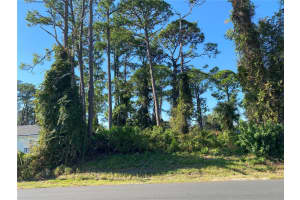 2512 FERN PALM DRIVE, EDGEWATER, FL 32141 - MLS#MFRNS1086655