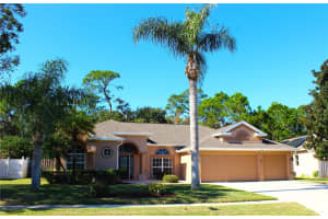 3817 Birch Mountain Rd, PORT ORANGE 3817 Birch Mountain Rd, PORT ORANGE