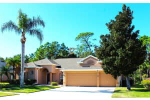 3817 BIRCH MOUNTAIN ROAD, PORT ORANGE, FL 32129 - MLS#MFRNS1086702