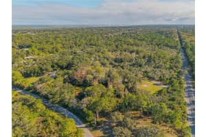 480 CLINTON CEMETERY ROAD, EDGEWATER, FL 32141 - MLS#MFRNS1086782
