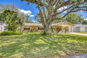 1855 Pine Tree Dr, EDGEWATER 1855 Pine Tree Dr, EDGEWATER