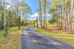 1670 ROOSEVELT BOULEVARD, DAYTONA BEACH, FL 32124 - MLS#MFRNS1086841