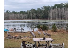 1045 BUCKLES ROAD, PIERSON, FL 32180 - MLS#MFRNS1086882