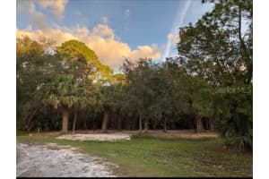 HIGHLANDER DR, EDGEWATER, FL 32759 - MLS#MFRNS1087104