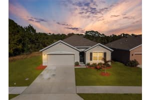 3600 BURROWING OWL DRIVE, MIMS, FL 32754 - MLS#MFRNS1087265
