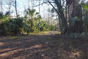 4721 LINGO GROVE ROAD, EDGEWATER, FL 32141 - MLS#MFRNS1087281