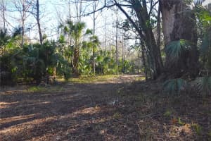 4721 LINGO GROVE ROAD, EDGEWATER, FL 32141 - MLS#MFRNS1087281