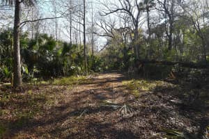 4721 LINGO GROVE ROAD, EDGEWATER, FL 32141 - MLS#MFRNS1087281