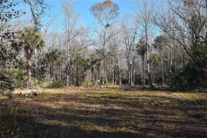 4721 LINGO GROVE ROAD, EDGEWATER, FL 32141 - MLS#MFRNS1087281