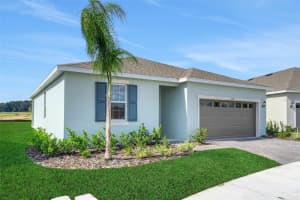 1018 SWAMP CHESTNUT LOOP, LADY LAKE, FL 32159 - MLS#MFRNS1087467