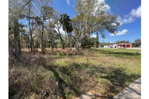 WALLACE RD, NEW SMYRNA BEACH, FL 32168 - MLS#MFRNS1087589