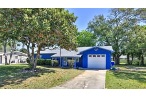1915 UMBRELLA TREE DRIVE, EDGEWATER, FL 32141 - MLS#MFRNS1087699