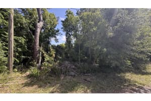 CHERRY ST, NEW SMYRNA BEACH, FL 32168 - MLS#MFRNS1087908