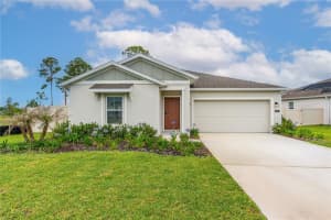 5317 Diamondleaf Dr, EDGEWATER