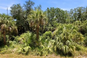 18426 SAGAMORE AVENUE, PORT CHARLOTTE, FL 33954 - MLS#MFRNS1088470