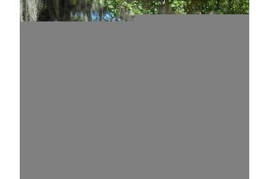 1851 Aster Dr, Winter Park, FL 32792, Sold 01/23/13