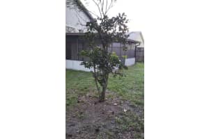 10013 Little Teak St, Orlando, FL 32825, Sold 07/15/16