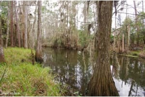 4807 Chalfont Dr, Orlando, FL 32837, Sold 04/04/16