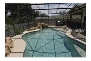 337 Silver Pine Dr, Lake Mary, FL 32746, Sold 07/28/16