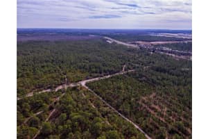 INTERNATIONAL DR, ORLANDO, FL 32821 - MLS#MFRO5440334