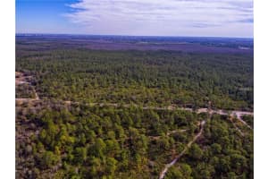 INTERNATIONAL DR, ORLANDO, FL 32821 - MLS#MFRO5440334