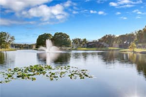 3897 Waterview Loop, Winter Park, FL 32792, Sold 12/30/16