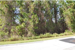 12363 Cruxbury Dr, Windermere, FL 34786, Sold 04/11/17