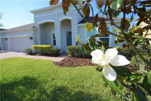15422 Heron Hideaway Cir, Oakland, FL 34787, Sold 09/12/17