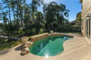10125 Canopy Tree Ct, Orlando, FL 32836, Sold 10/18/17