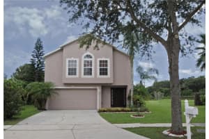 11341 Ivy Flower Loop, Riverview, FL 33578, Sold 10/02/17