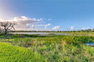 11647 Sprawling Oak Dr, Windermere, FL 34786, Sold 11/30/17