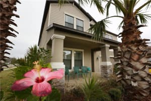 2081 Nerva Rd, Winter Garden, FL 34787, Sold 03/09/18