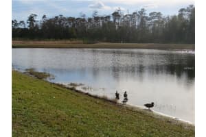 890 Vista Palma Way, Orlando, FL 32825, Sold 02/28/18