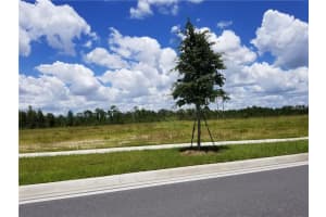  S APOPKA VINELAND, ORLANDO, FL 32821 - MLS#MFRO5730947