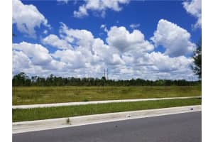  S APOPKA VINELAND, ORLANDO, FL 32821 - MLS#MFRO5730947