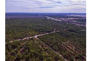 INTERNATIONAL DR, ORLANDO, FL 32821 - MLS#MFRO5736662