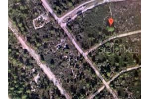 3121 CACAO RD, LAKE PLACID, FL 33852 - MLS#MFRO5851255