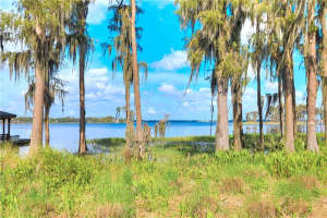 11217 Bridge House Rd, Windermere, FL 34786, Sold 10/25/21