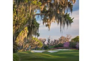 9905 Lake Louise Dr, Windermere, FL 34786, Sold 03/01/22
