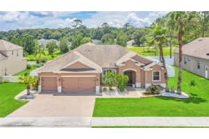 3316 Cypress Grove Dr, Eustis, FL 32736, Sold 11/03/21