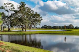 1414 Grassland Ave, St Cloud, FL 34771, Sold 03/22/22